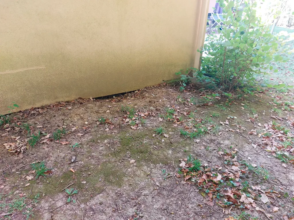 Pied de mur assaini après travaux de drainage